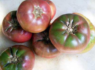 Cherokee Purple Organic Tomato
