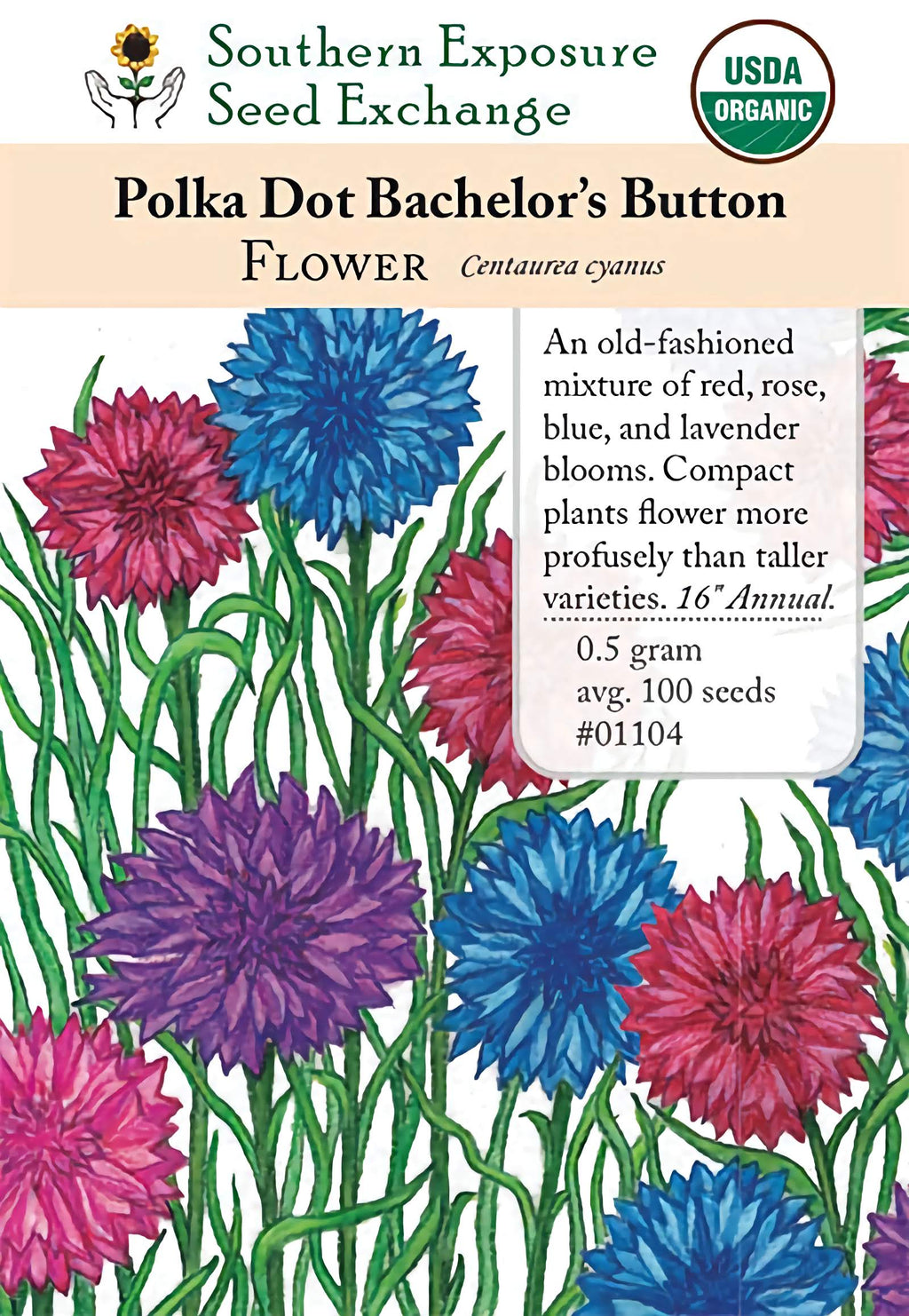 button rose seeds 01104 - Bachelor Button, Polka Dot – Southern Exposure Seed Exchange