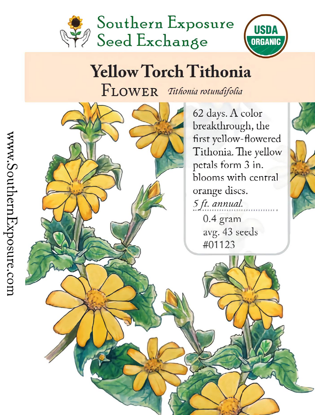 torch flower seeds 01123 - Tithonia, Yellow Torch – Southern Exposure Seed Exchange