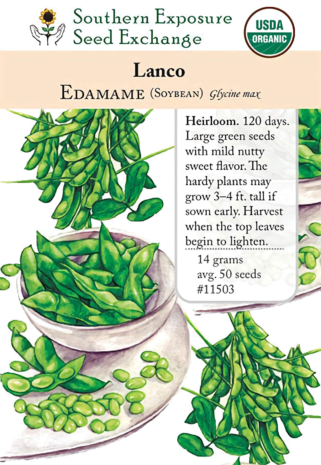 organic edamame seeds for planting 11503 - Lanco Edamame – Southern Exposure Seed Exchange