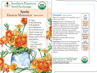 01218 - French Marigold, Sparky