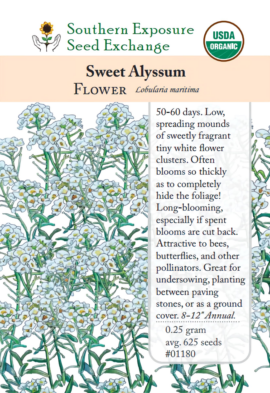 01180 - Sweet Alyssum – Southern Exposure Seed Exchange - Wholesale