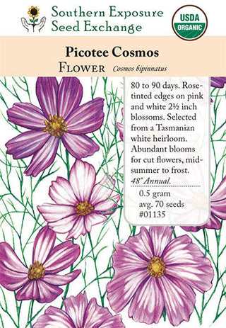 01135 - Cosmos, Picotee