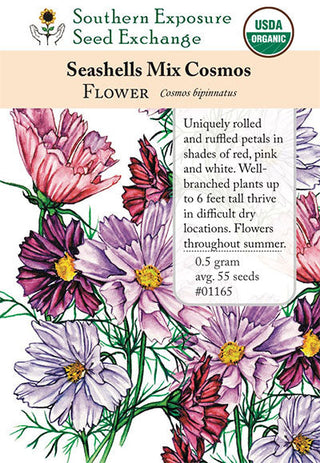 01165 - Cosmos, Sea Shells Mix