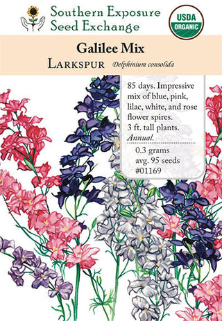 01169 - Larkspur, Galilee Mix