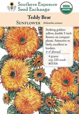 05306 - Sunflower, Teddy Bear