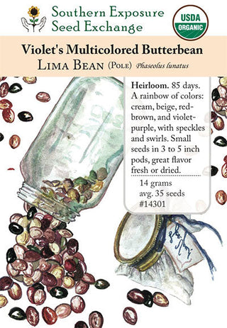 14301 - Violet's Multicolored Butterbeans