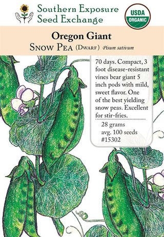 15302 - Oregon Giant