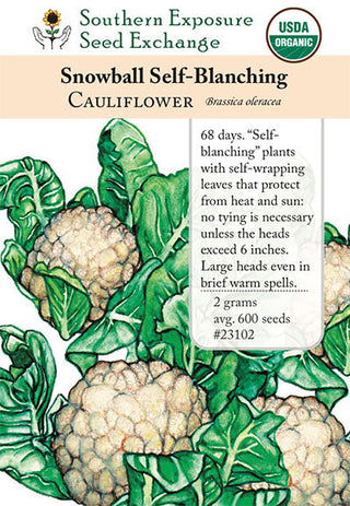 23102 - Snowball Self-Blanching