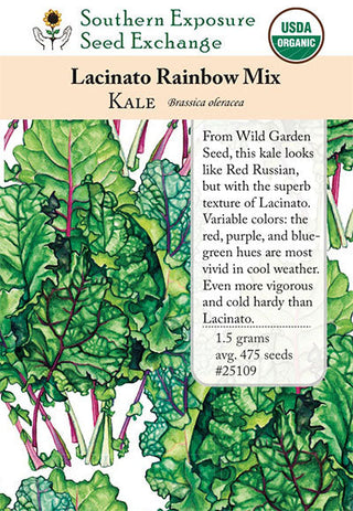 25109 - Lacinato Rainbow Mix