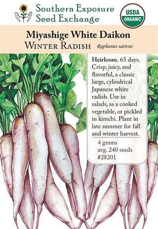 28201 - Daikon, Miyashige White