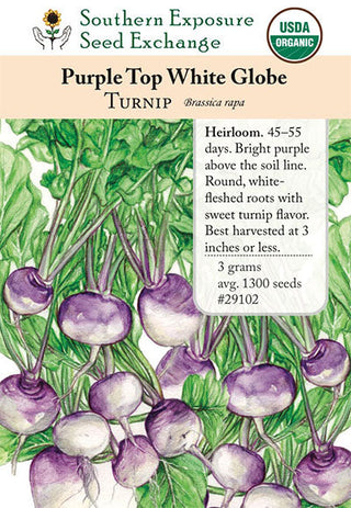29102 - Purple Top White Globe