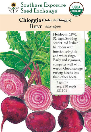 31101 - Chioggia (Dolce Di Chioggia)