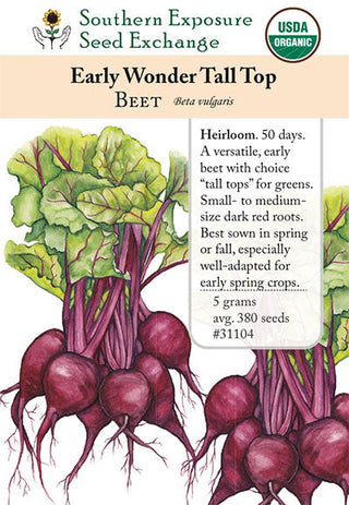 31104 - Early Wonder Tall Top