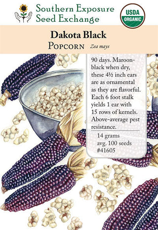 41605 - Dakota Black