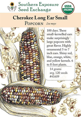 41609 - Cherokee Long Ear Small