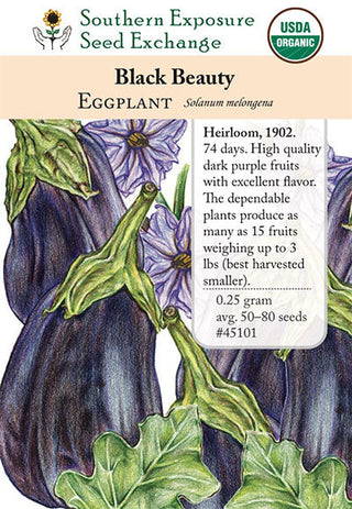 45101 - Black Beauty