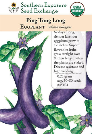 45104 - Ping Tung Long