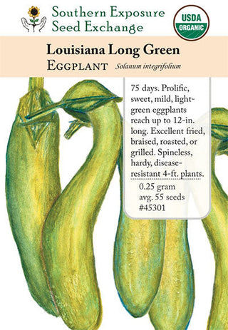 45301 - Louisiana Long Green (Green Banana)