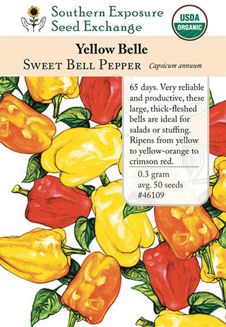 46109 - Yellow Belle