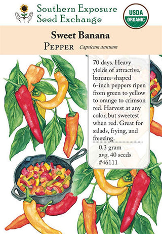 46111 - Sweet Banana (Long Sweet Hungarian)
