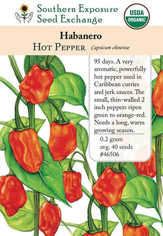 46506 - Habanero
