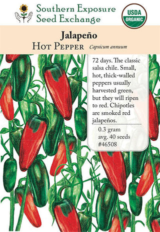 46508 - Jalapeño