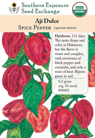 46601 - Aji Dulce