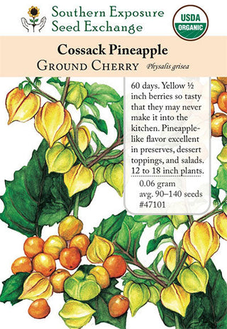 47101 - Cossack Pineapple
