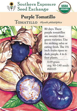 48105 - Purple Tomatillo