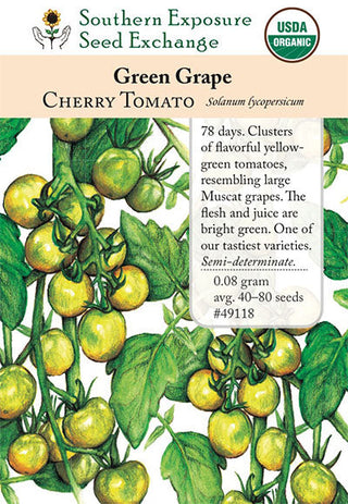 49118 - Green Grape