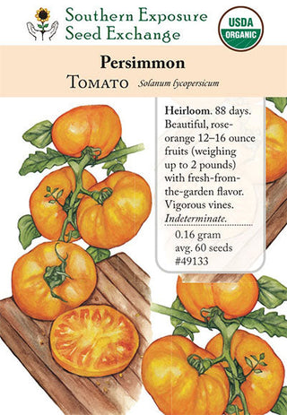 49133 - Persimmon