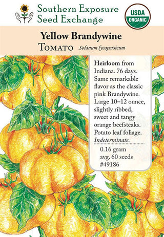 49186 - Brandywine, Yellow