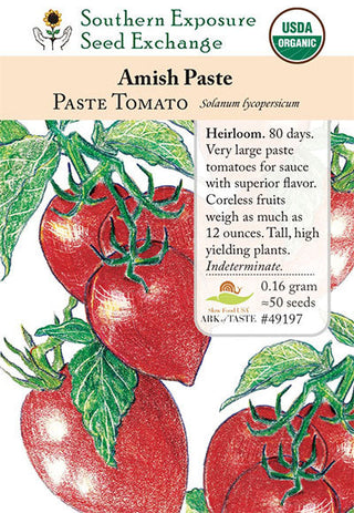 49197 - Amish Paste