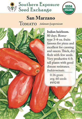 49248 - San Marzano