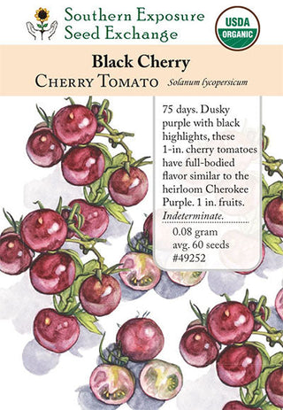 49252 - Black Cherry