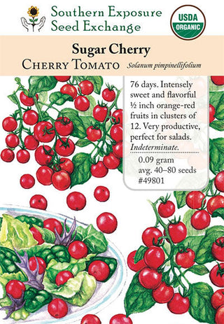 49801 - Sugar Cherry
