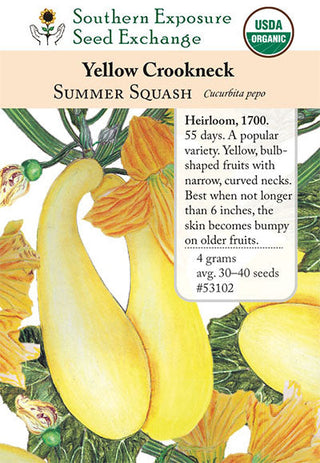 53102 - Yellow Crookneck