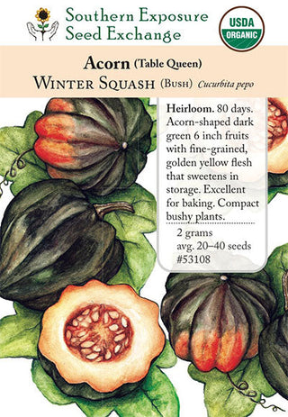 53108 - Table Queen Bush