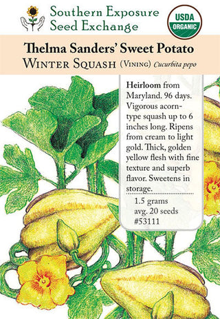 53111 - Thelma Sanders Sweet Potato