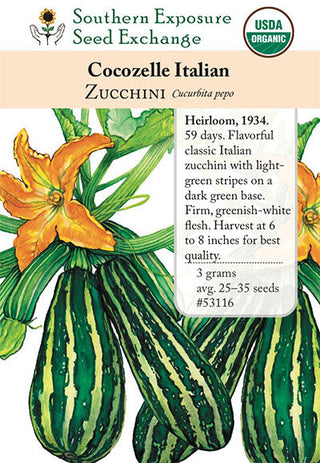 53116 - Cocozelle Italian