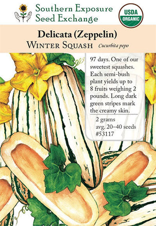 53117 - Delicata Zeppelin