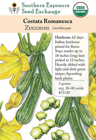 53120 - Costata Romanesca