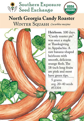 53304 - North Georgia Candy Roaster