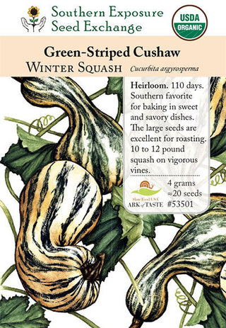 53501 - Green-Striped Cushaw