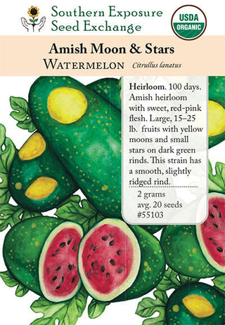 55103 - Amish Moon And Stars