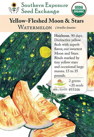 55106 - Moon and Stars, Yellow Fleshed