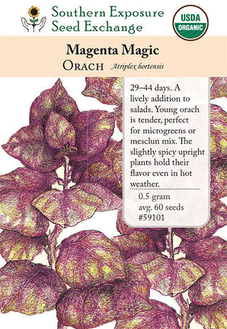 59101 - Magenta Magic