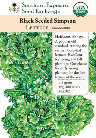 62102 - Black-Seeded Simpson