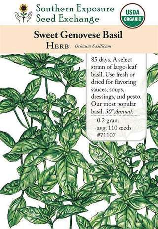 71107 - Basil, Sweet Genovese